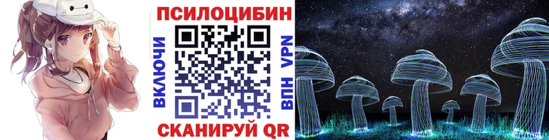 KRAKEN вход  как найти закладки  Нововоронеж  Псилоцибиновые грибы Cubensis 